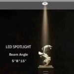 Virtuoso of Illumination: Bậc thầy của sự chiếu sáng