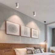 Đèn-LED-ống-bơ-rọi-COB-D75-H130-Anh4