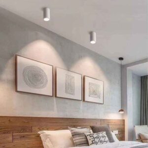 Đèn-LED-ống-bơ-rọi-COB-D75-H130-Anh4